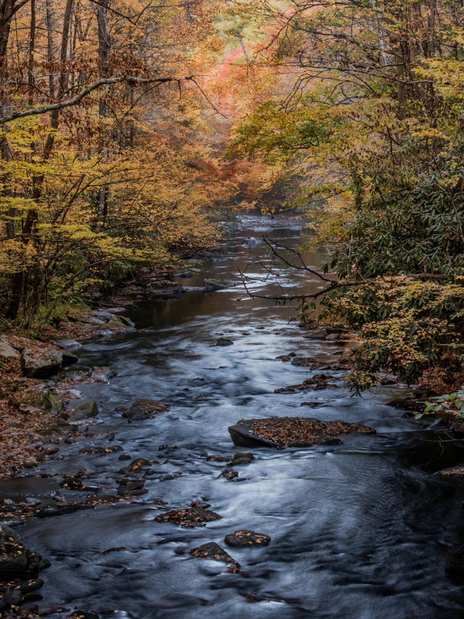 Hiking in North Carolina • 21 BEST Hikes in North Carolina - Lost In