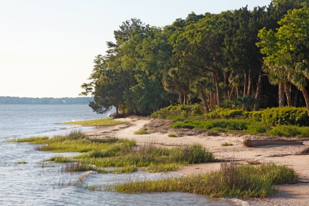 15 BEST Charleston Beaches to Soak Up the Sun At! Lost In The Carolinas