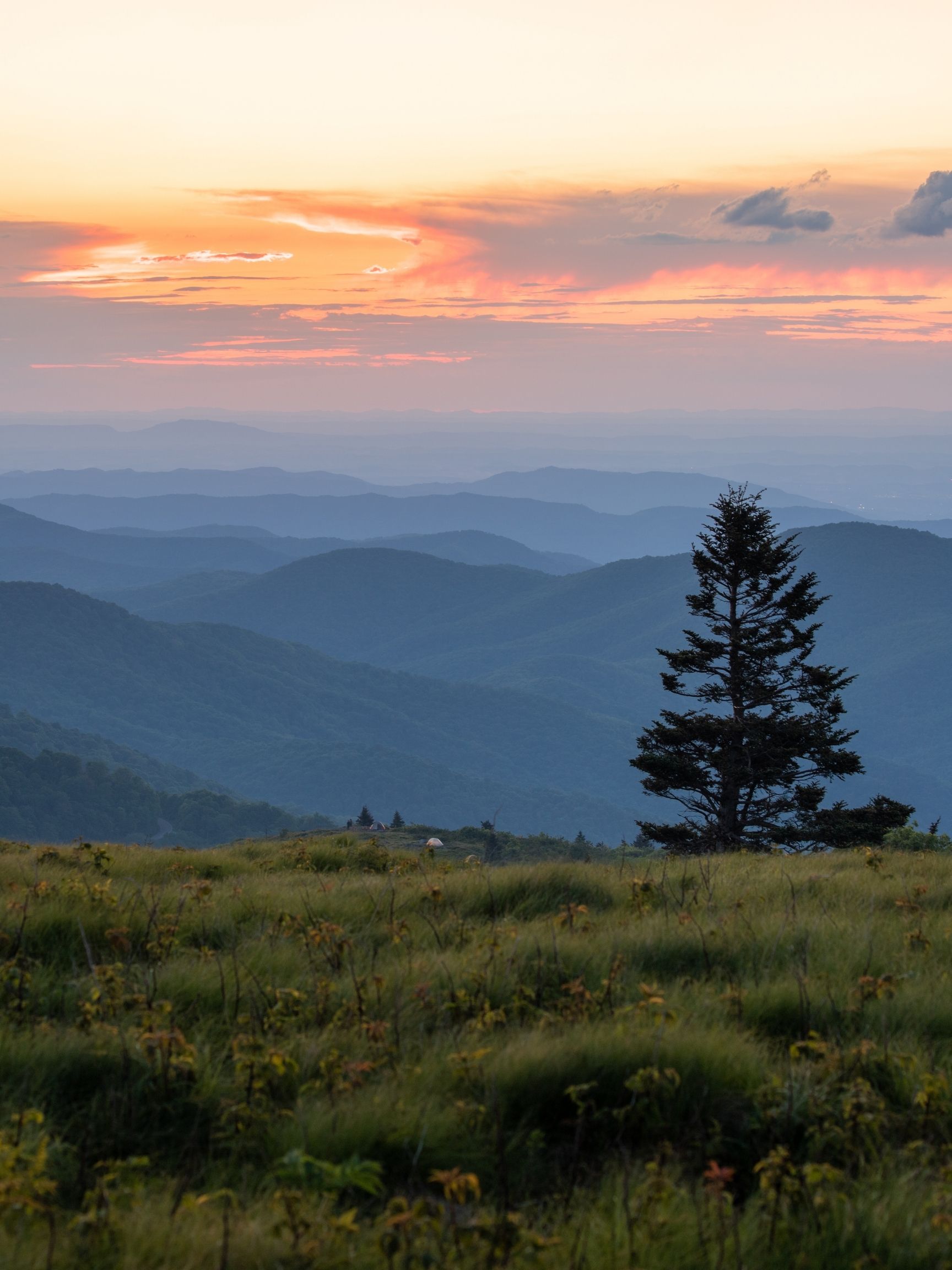 Grassy Ridge Bald / best hikes in north carolina 