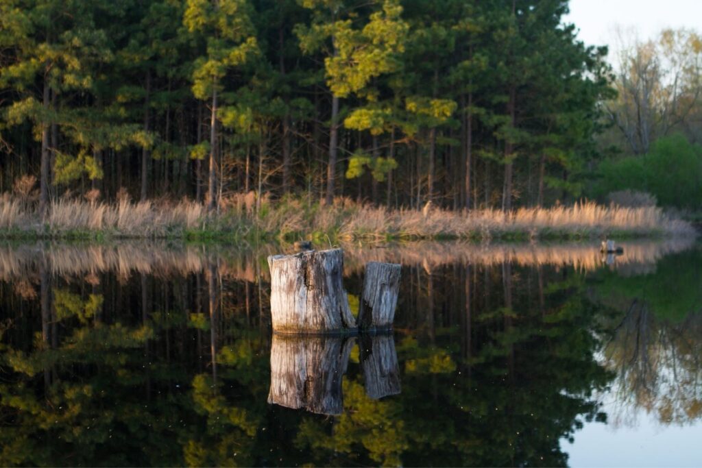 20 BEST Lakes in South Carolina - Lost In The Carolinas