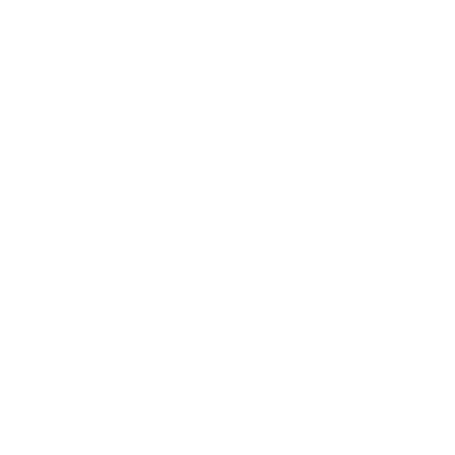 Lost In The Carolinas