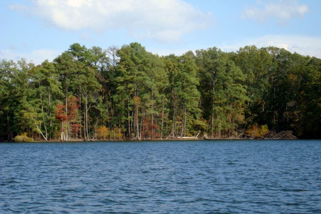 20 BEST Lakes in South Carolina Lost In The Carolinas