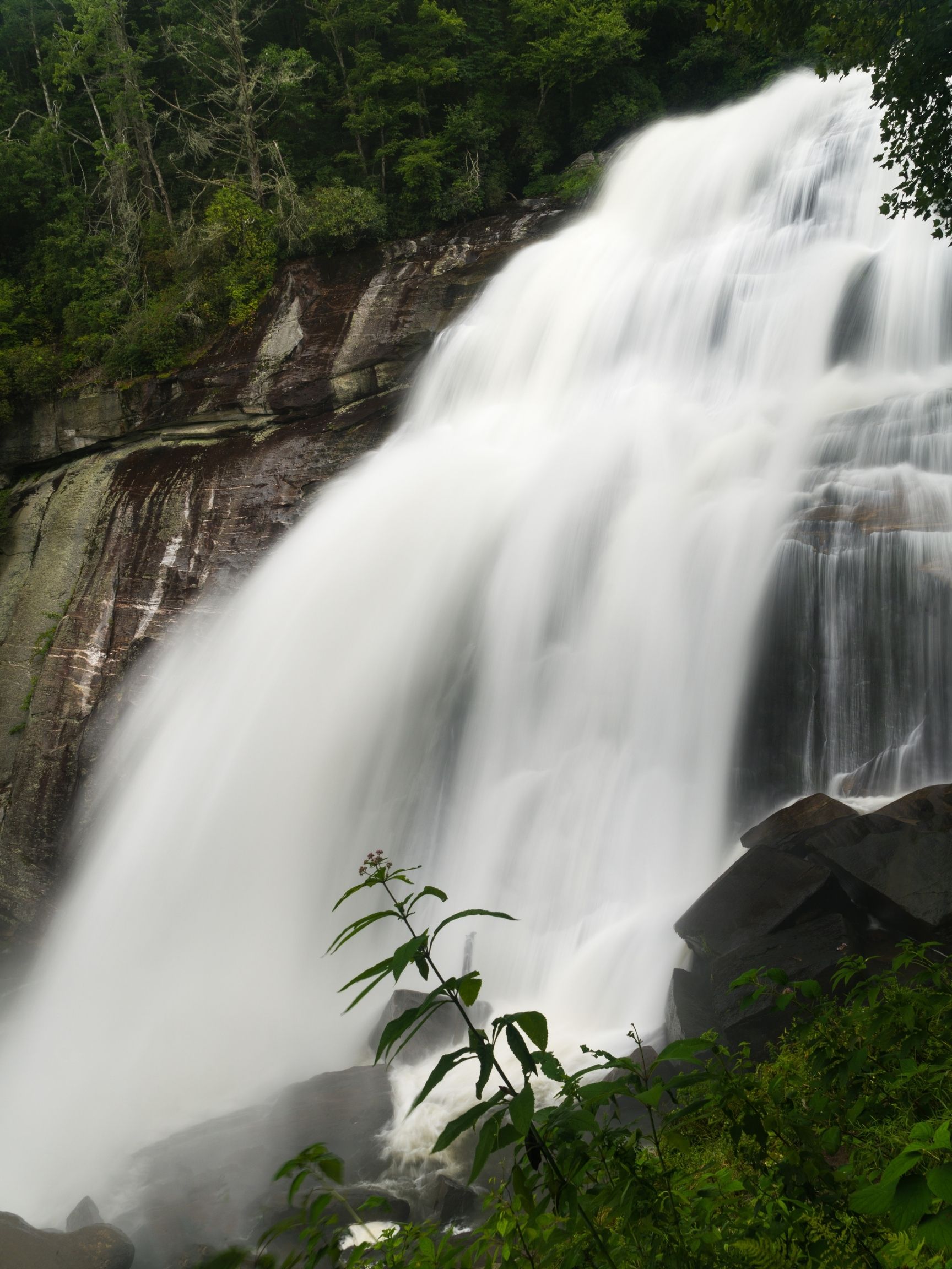 Rainbow Falls Trail / hiking in north carolina