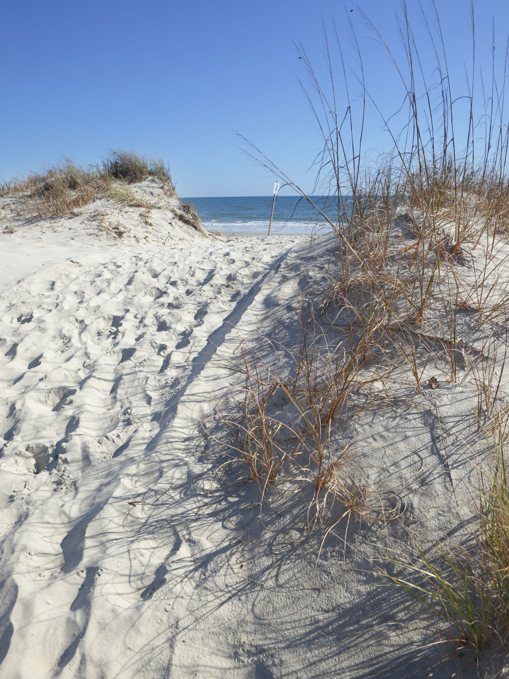 Path Through Sand Dunes on Seabrook Island