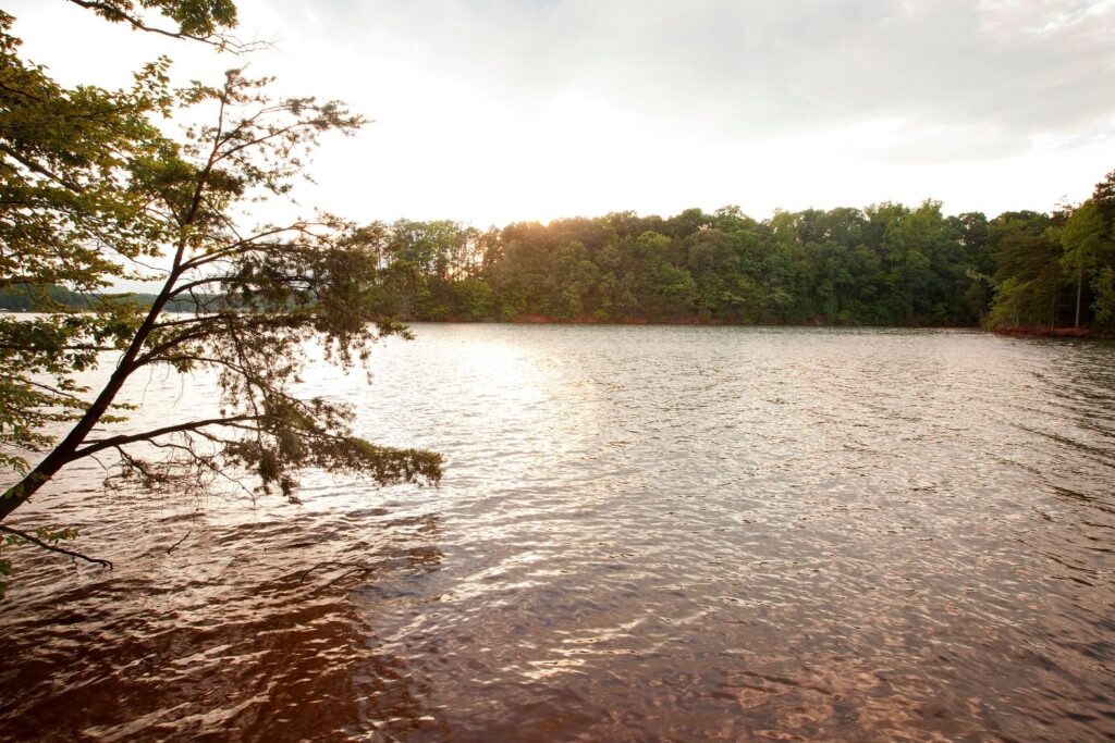 Best lakes in north carolina