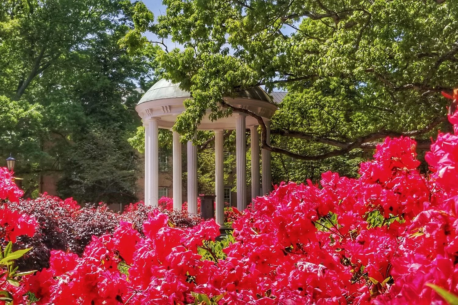 Chapel Hill one of the great Cities In North Carolina