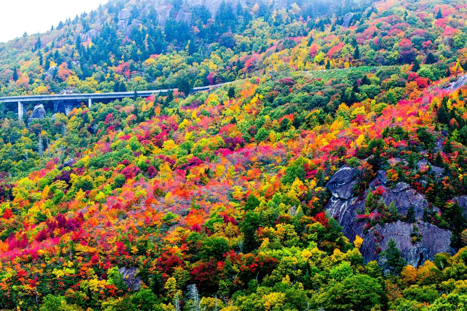 Best Time to Drive the Blue Ridge Parkway