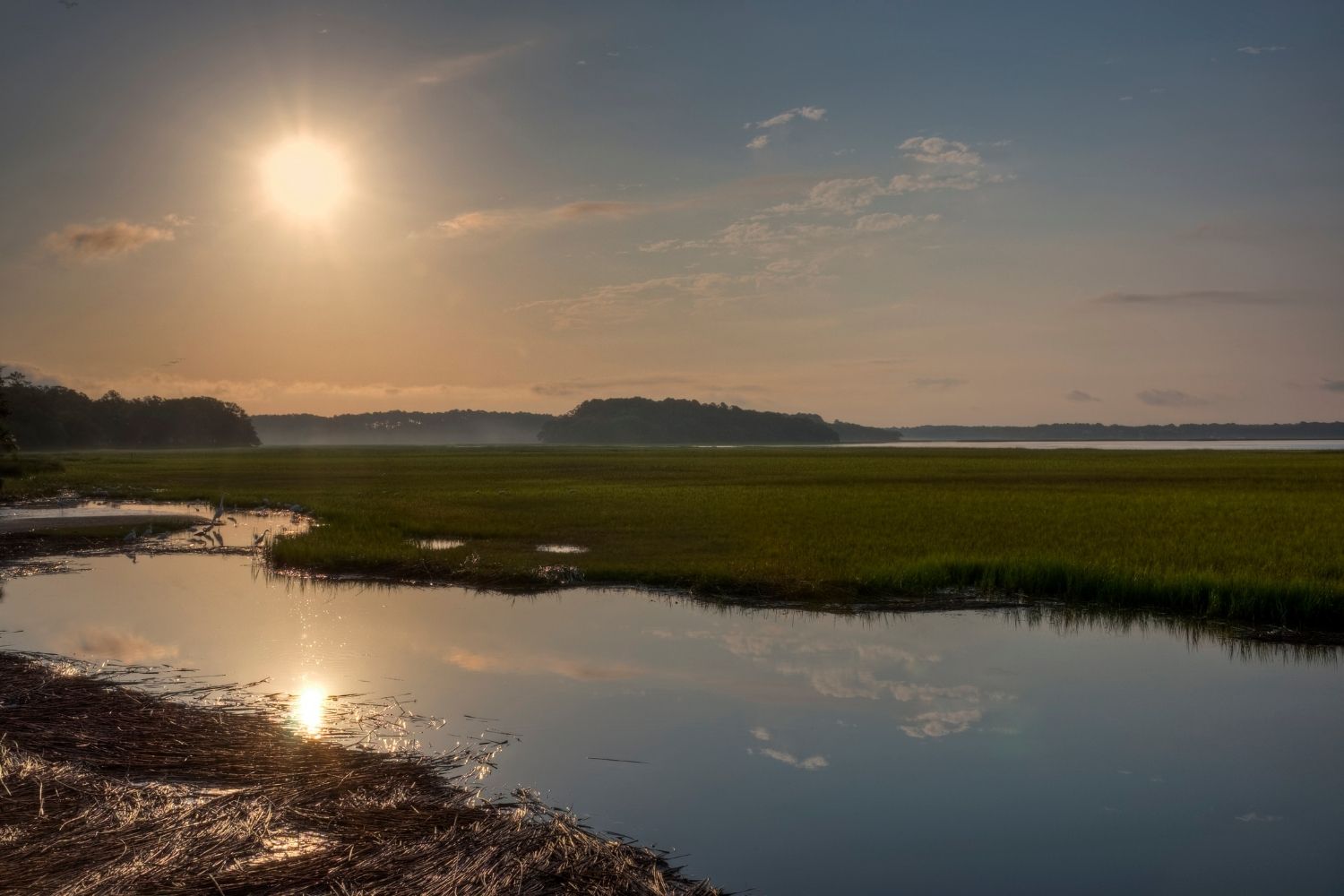 Pinckney Island National Wildlife Reserve