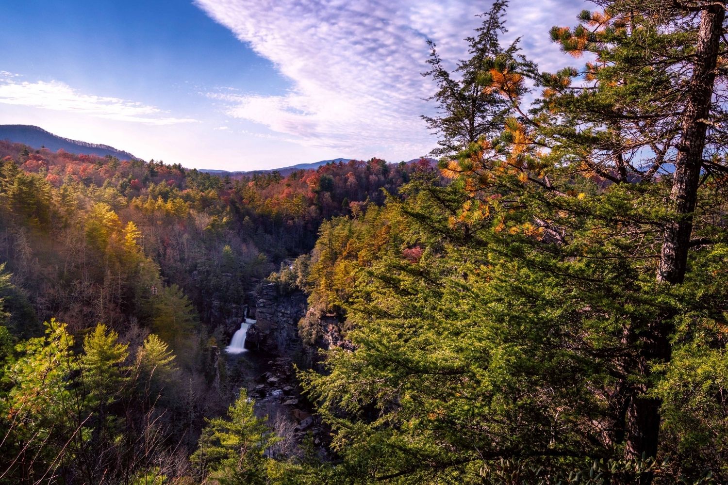 North Carolina Fall