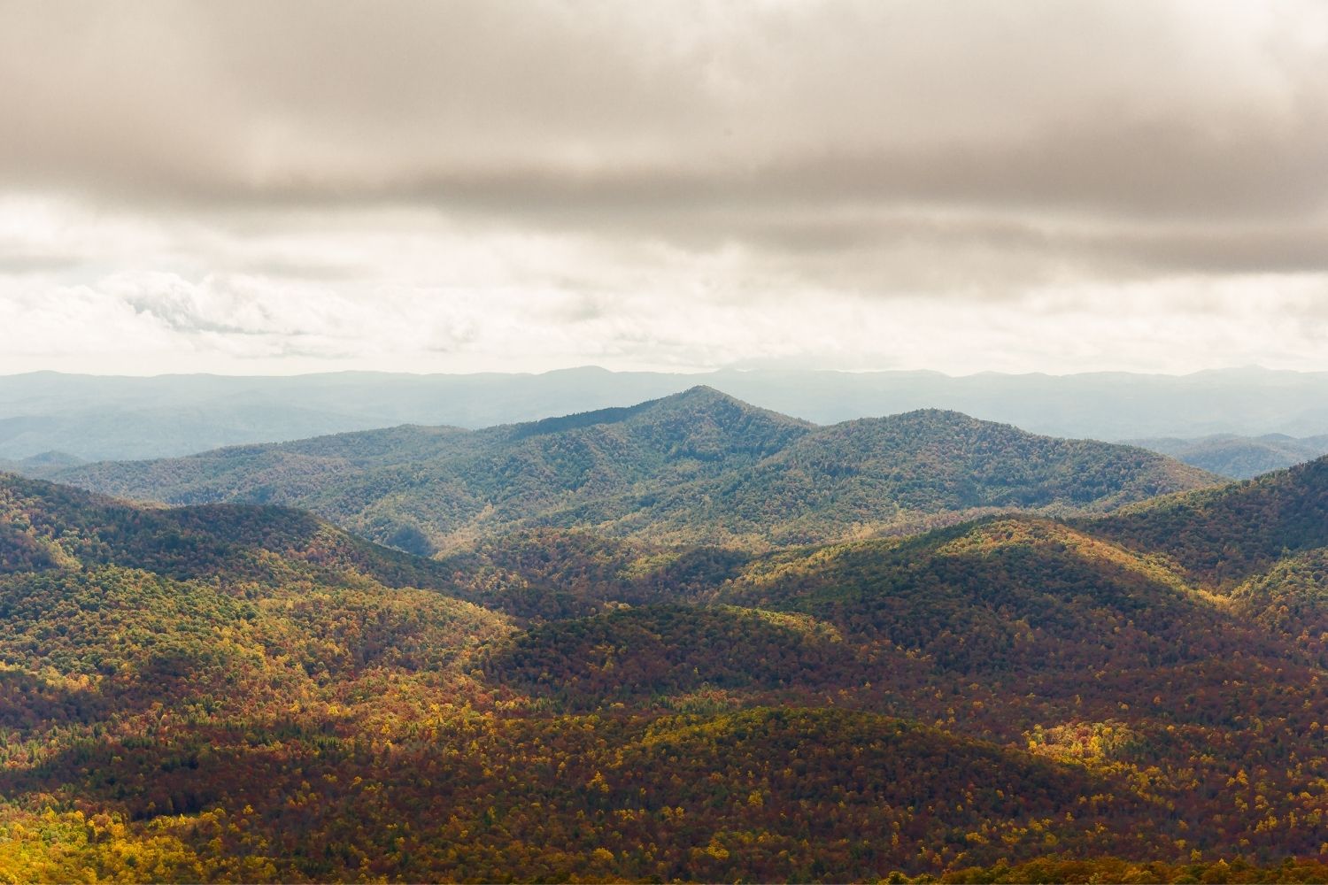 Pisgah National Forest in North Carolina