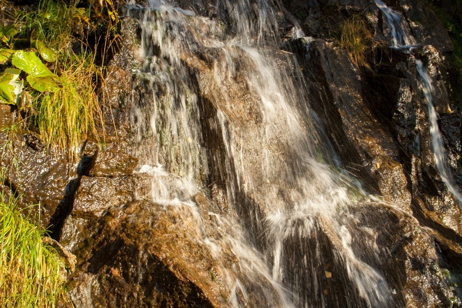 Bee Cove Falls / best waterfalls in south carolina