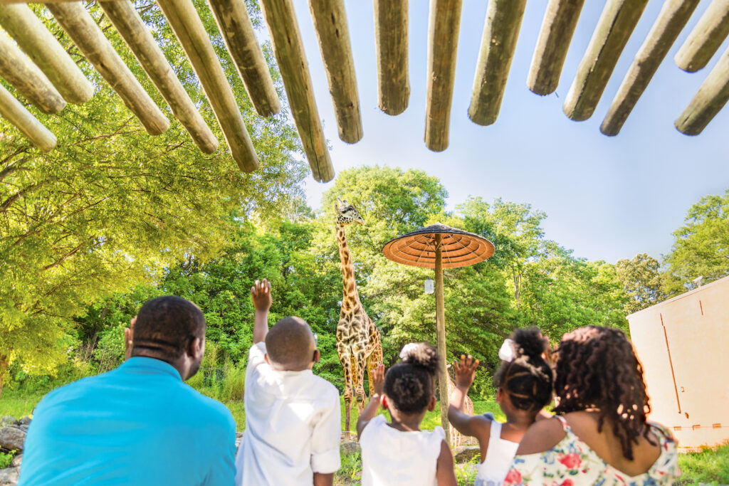 20 BEST Things to Do in Greenville, SC