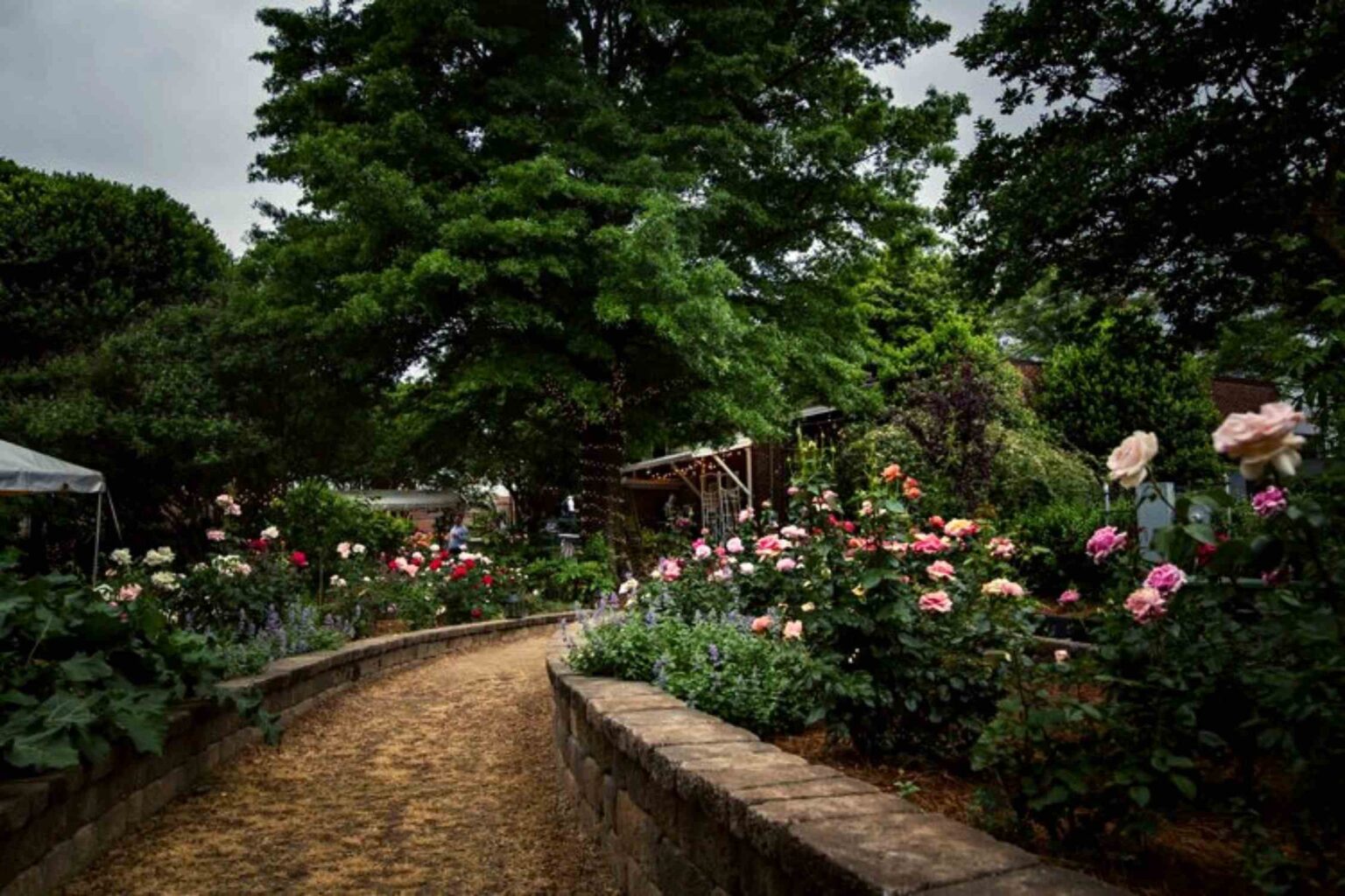 45 BEST Things to Do in Charlotte, North Carolina Lost In The Carolinas