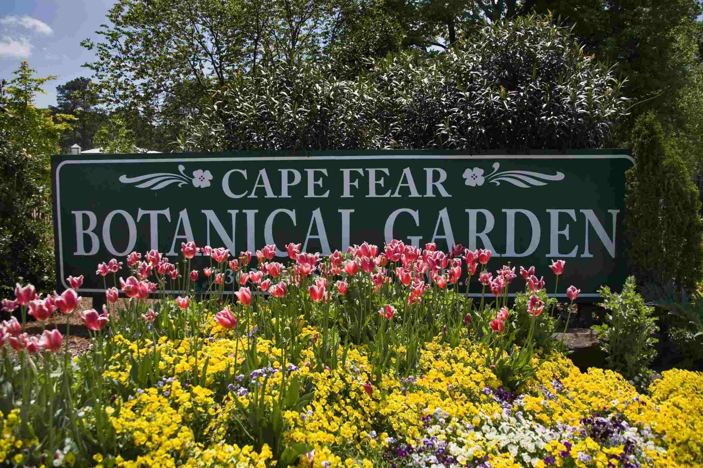 Cape_Fear_Botanical_Garden_