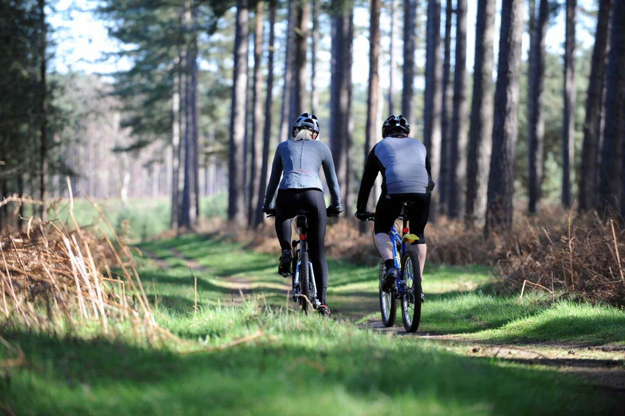 10 AWESOME Things to Do in Brevard, North Carolina Lost In The Carolinas