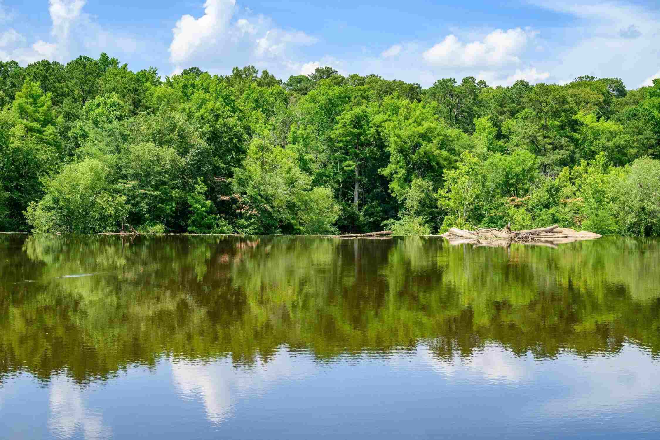 Tar river  Near RockyMount