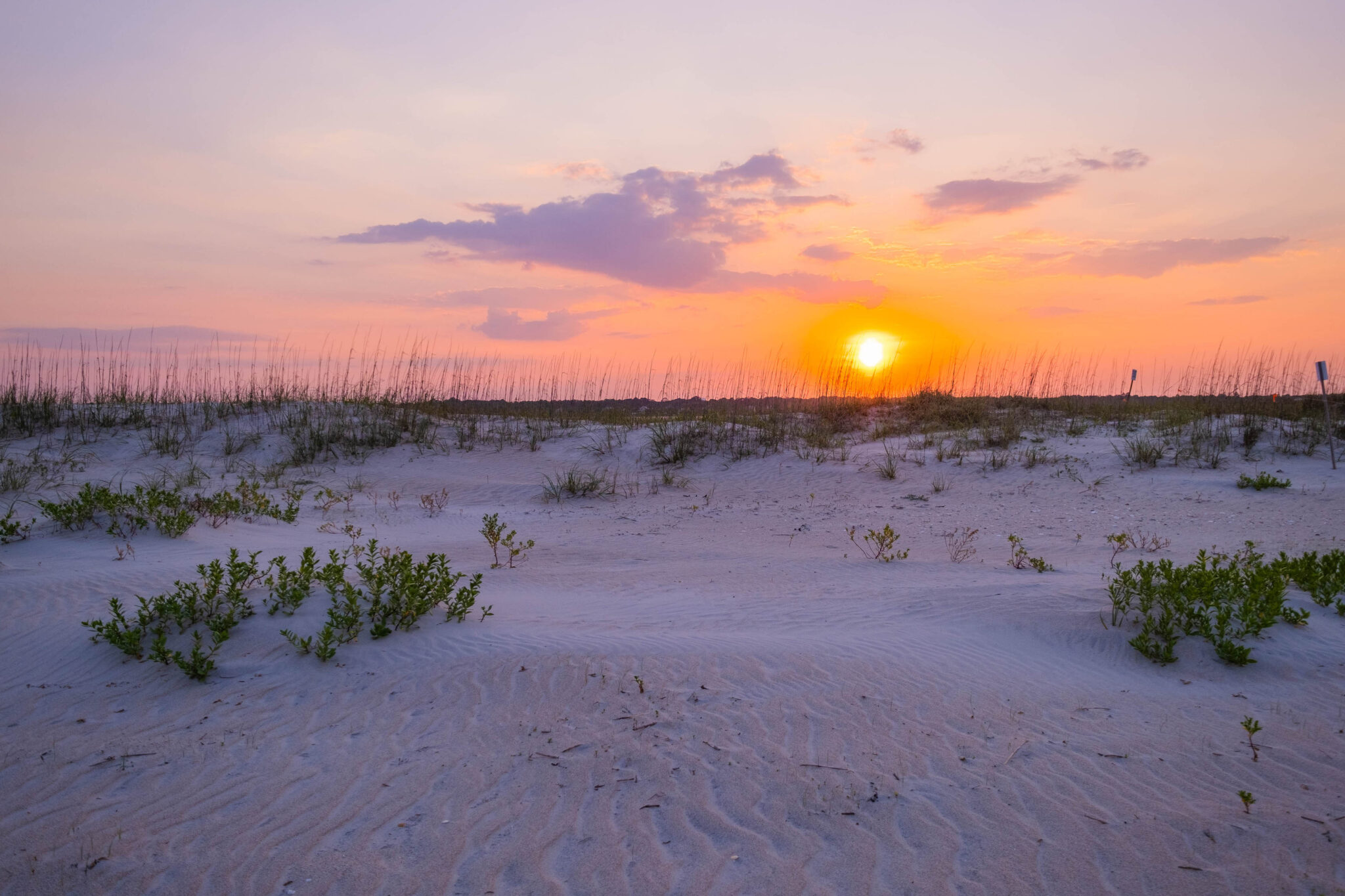 25 BEST North Carolina Beaches To Visit (2024)