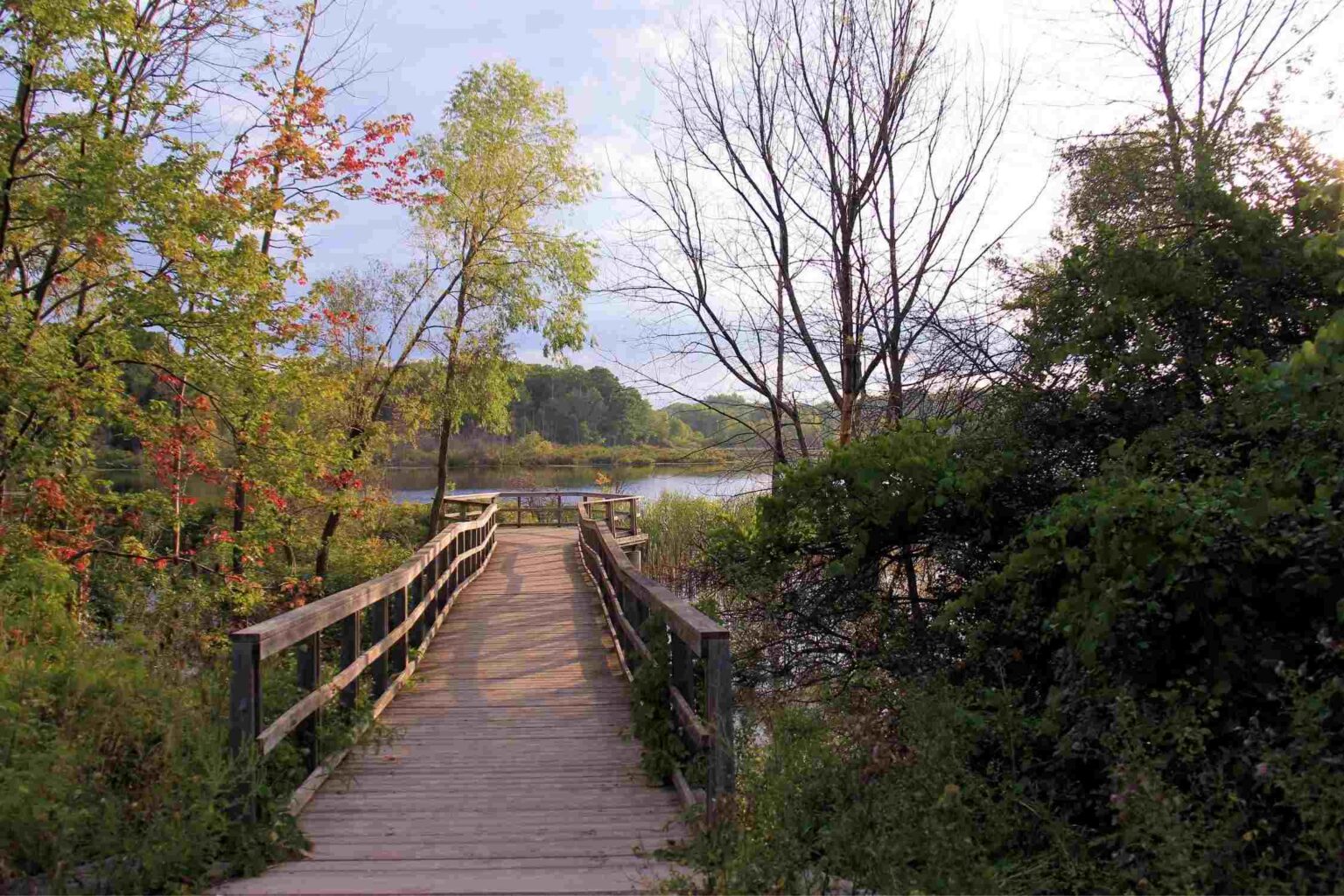 20 Best Things to Do in Hickory, NC Lost In The Carolinas