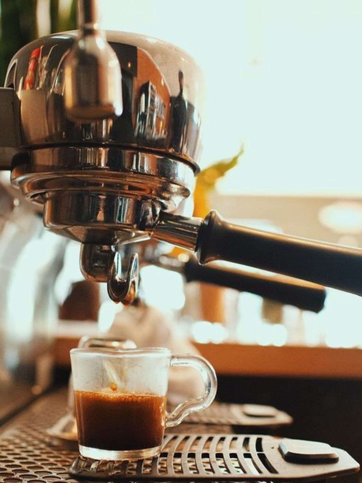 10 BEST Coffee Shops in Winston Salem Lost In The Carolinas