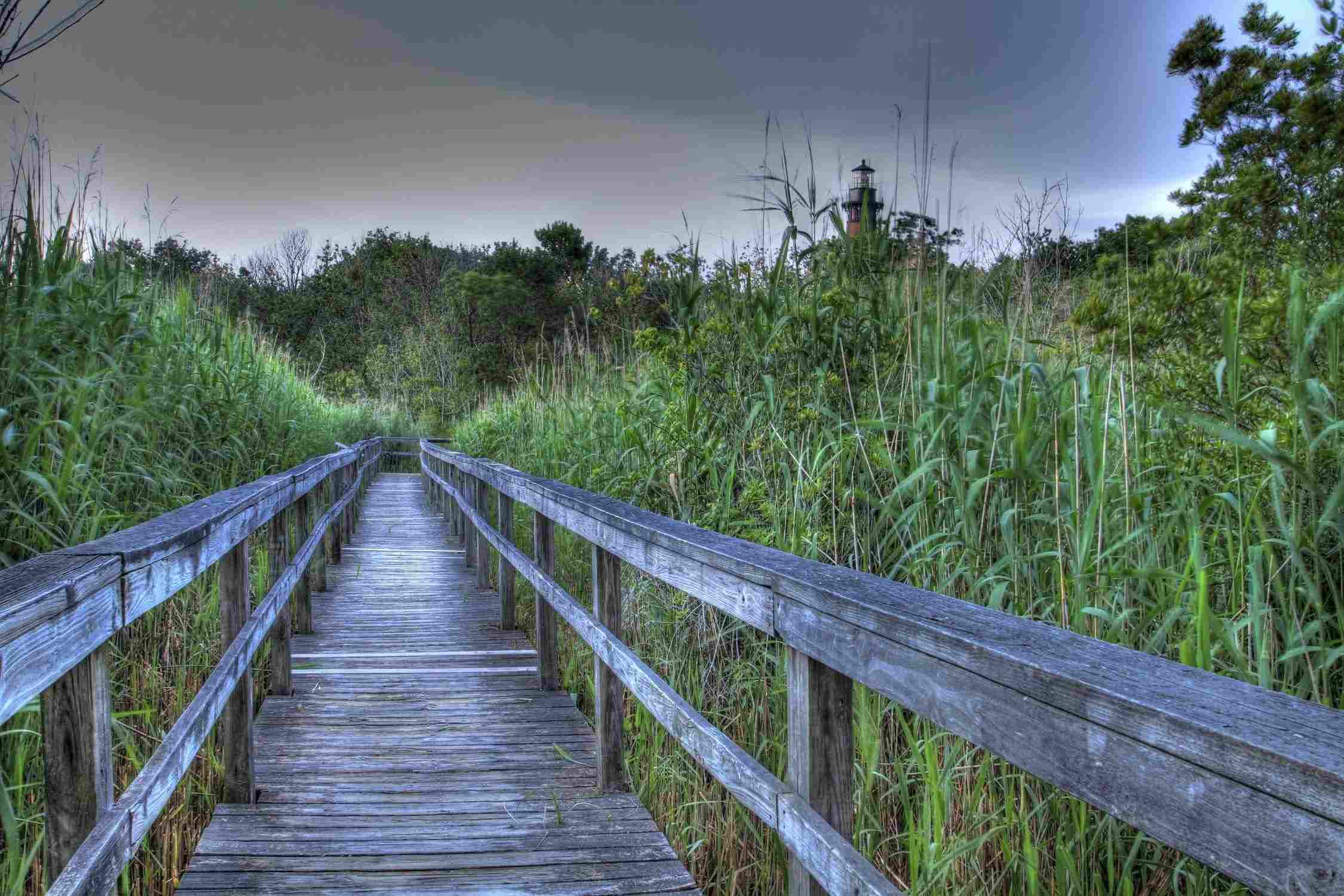 Currituck Banks Reserve