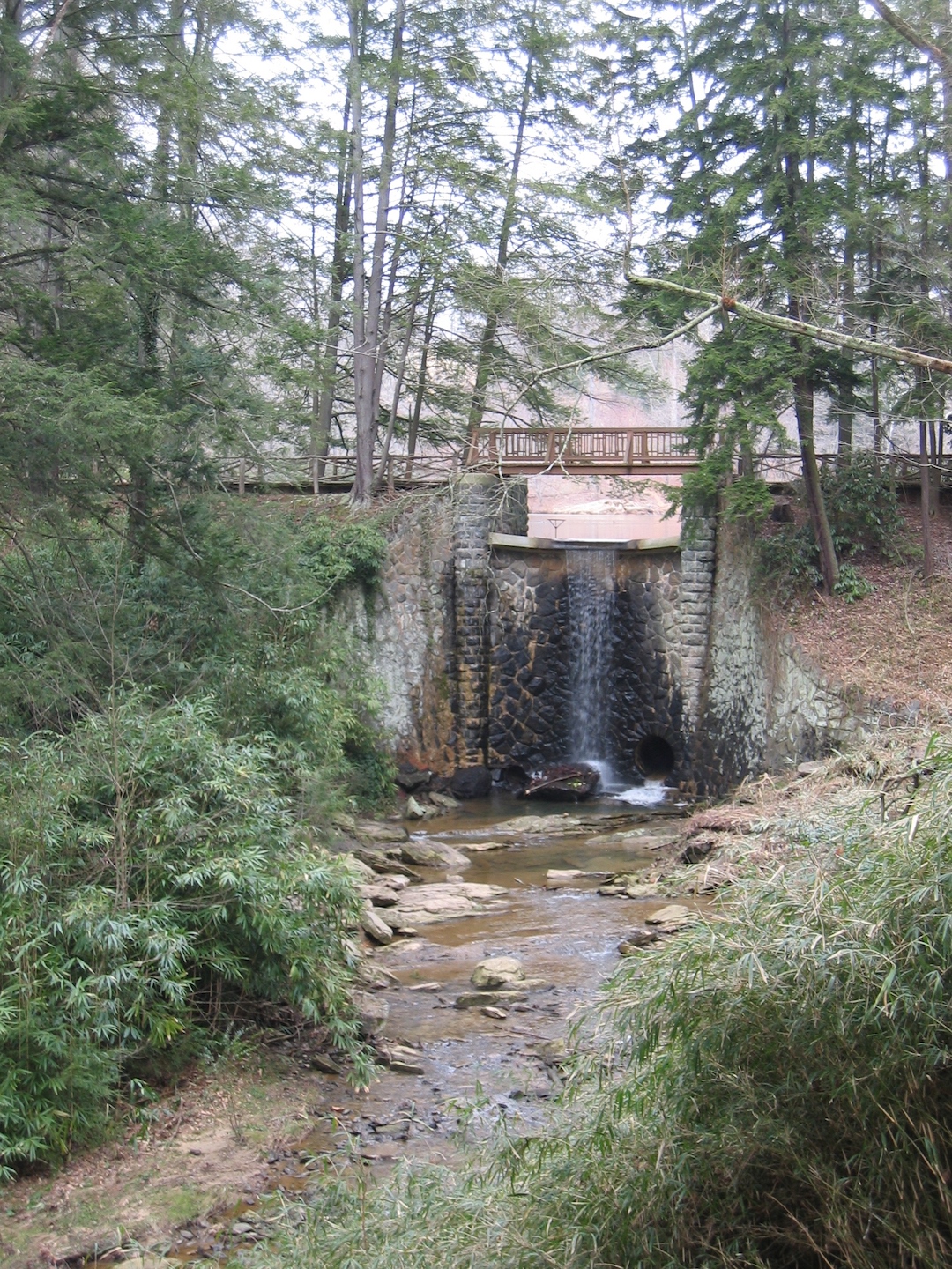 biltmore waterfalls