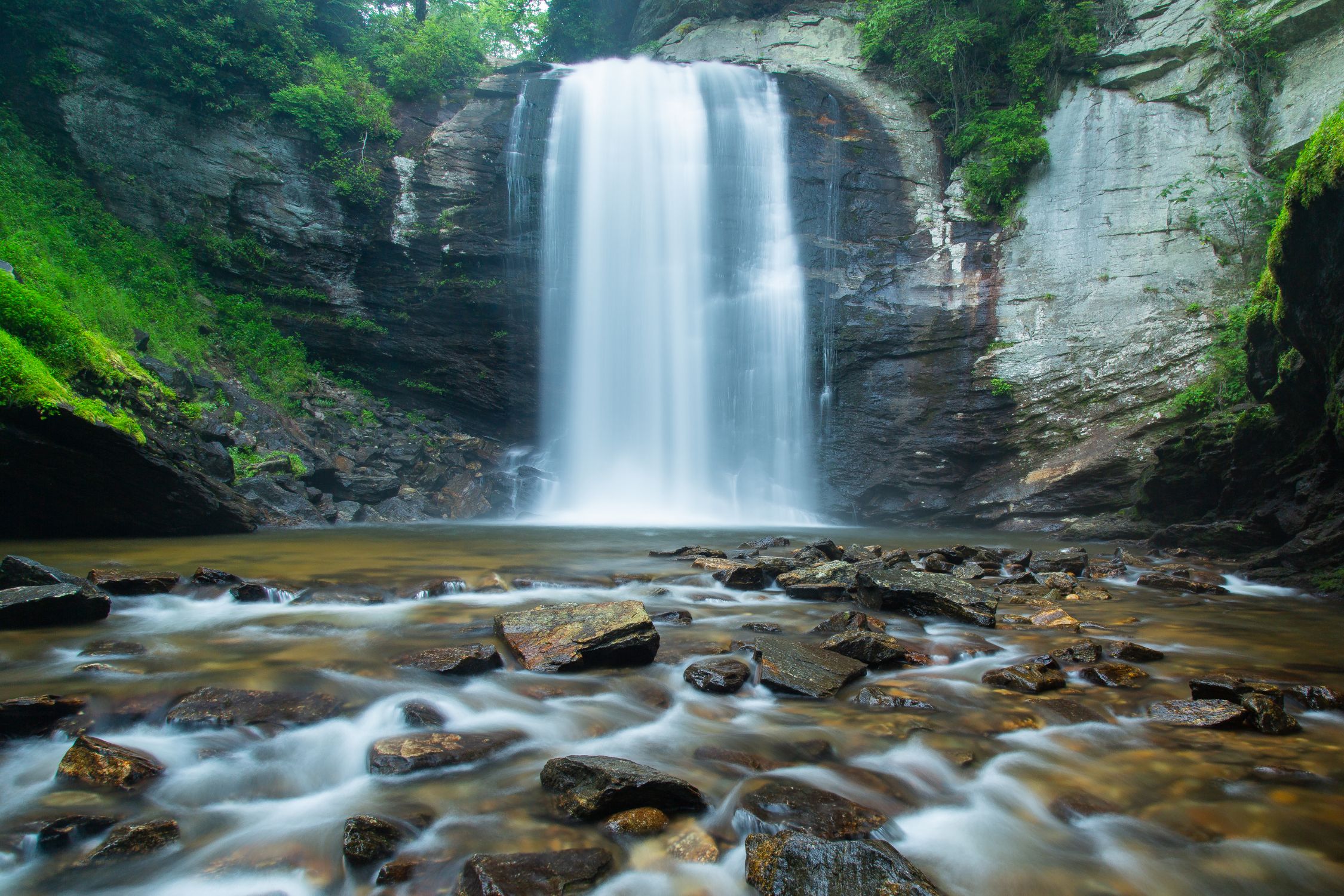 Guide to Looking Glass Falls in North Carolina