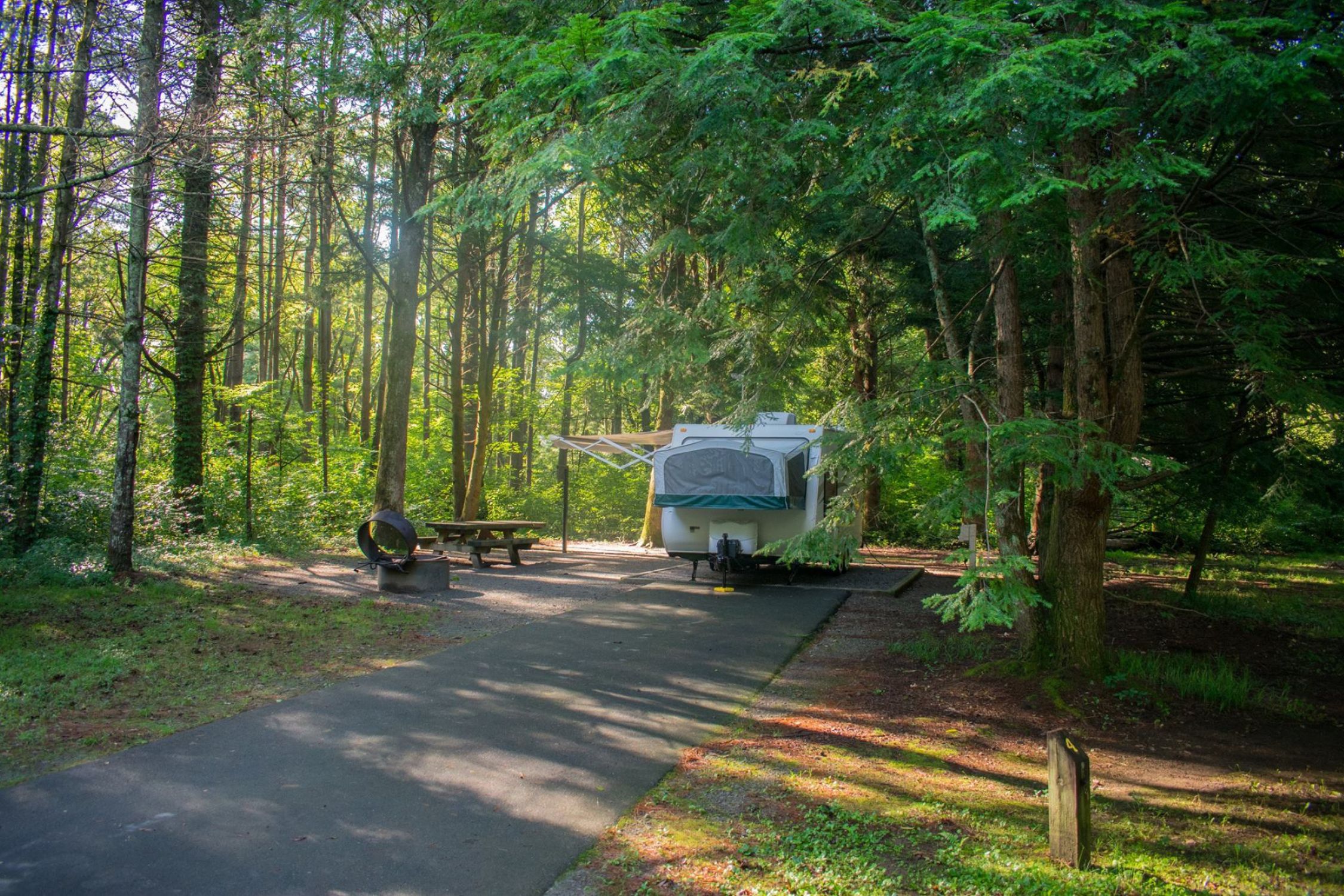 Davidson River Campground 