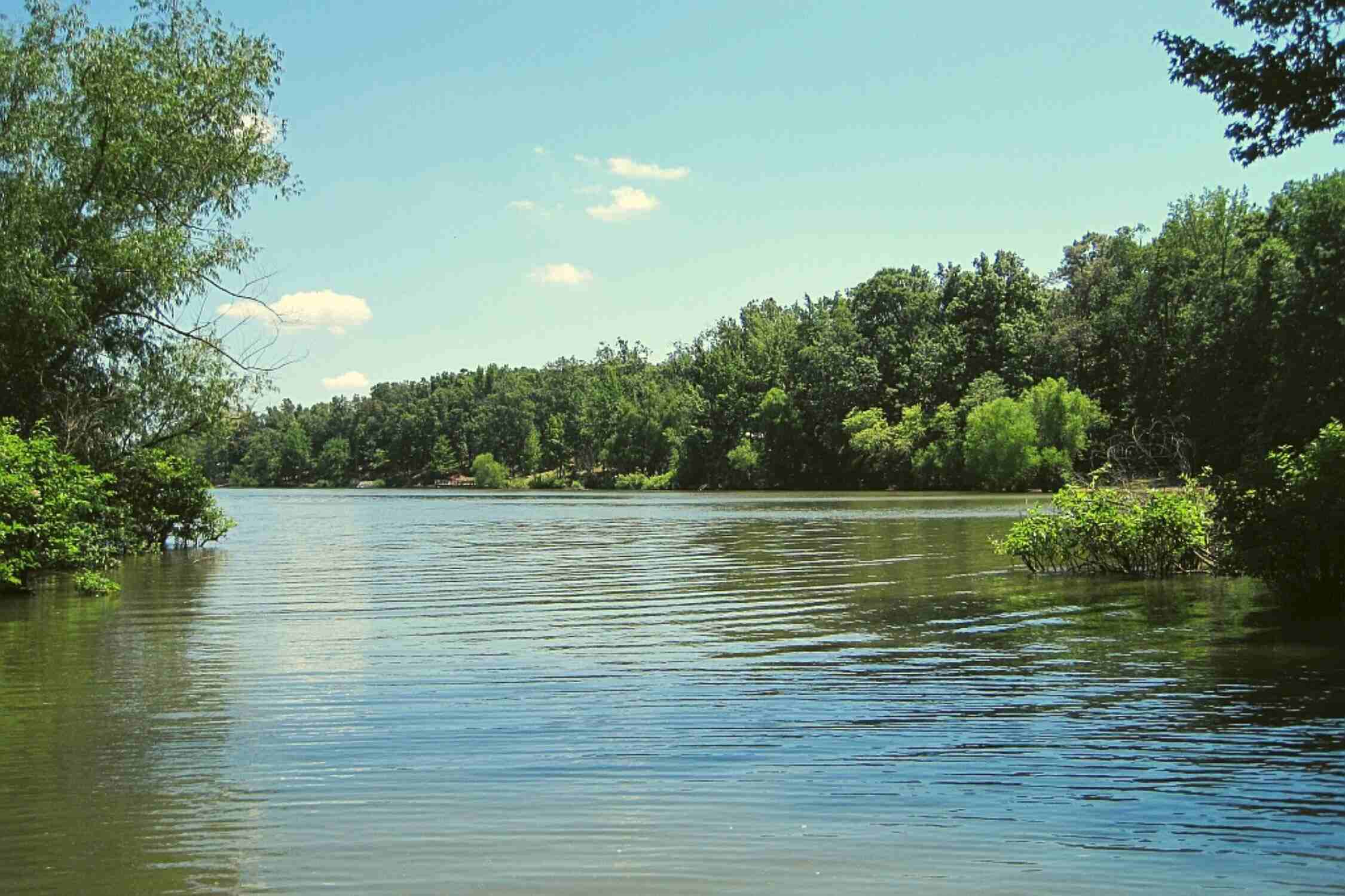 Poinsett State Park