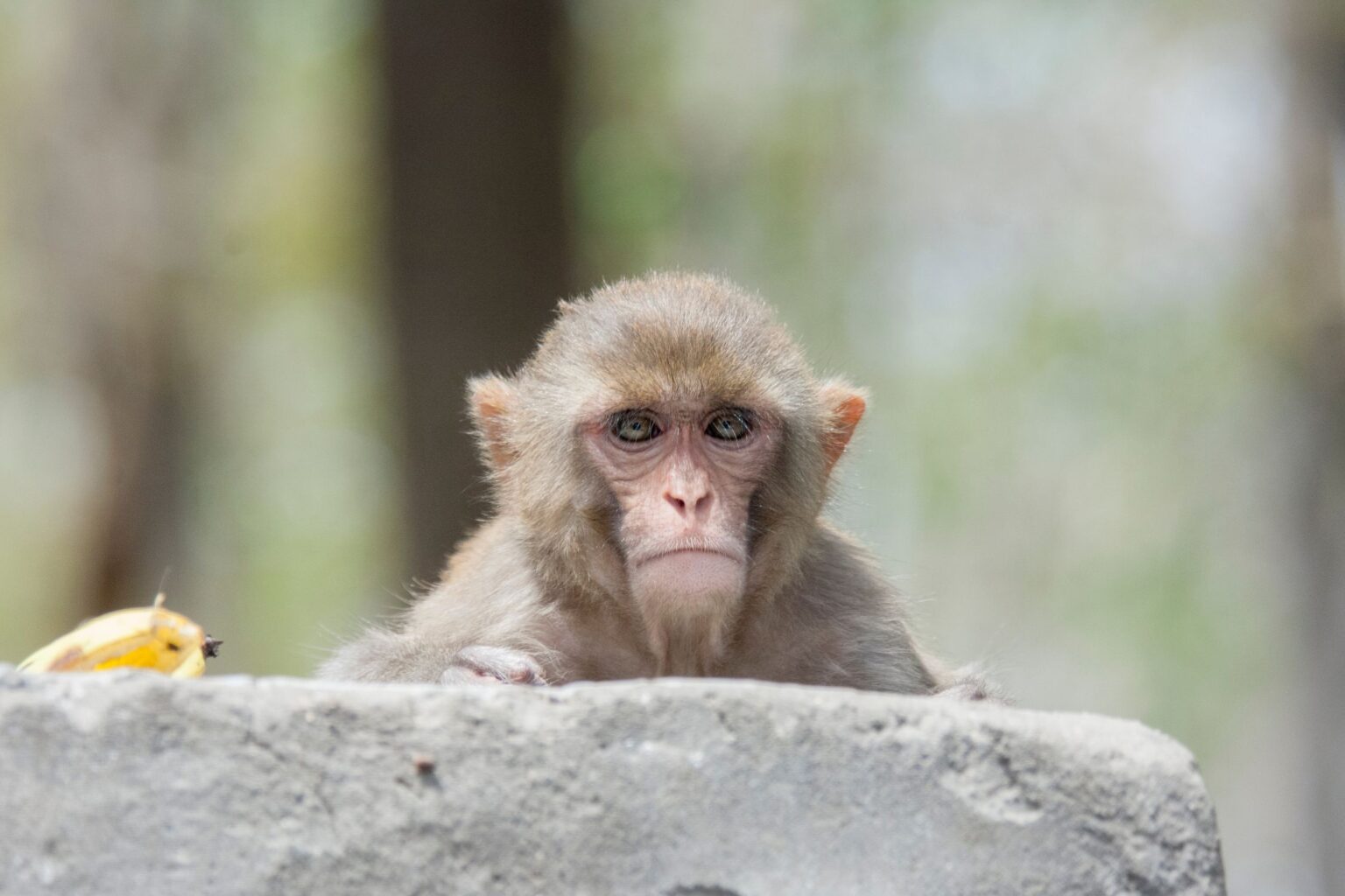 21 BEAUTIFUL South Carolina Islands to Visit