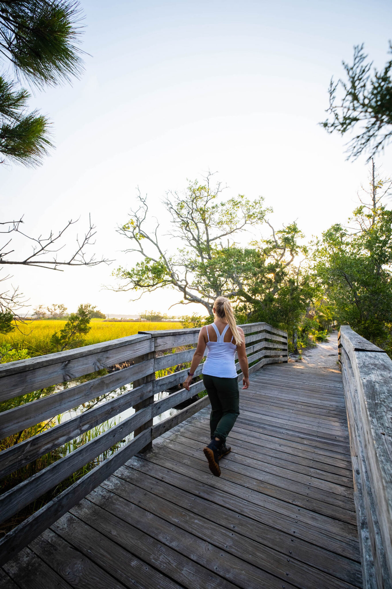 ULTIMATE Guide to Visiting Carolina Beach State Park (NC) - Lost In The ...