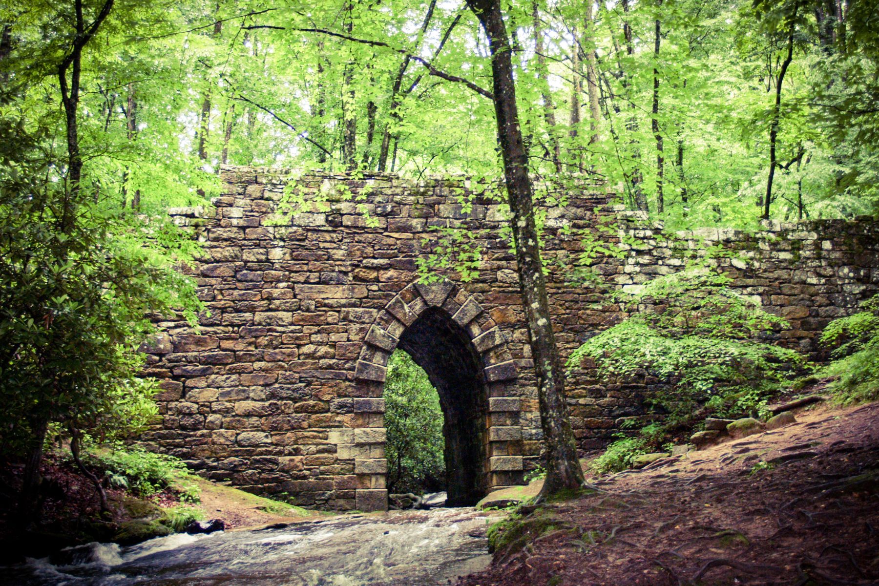 Poinsett Bridge