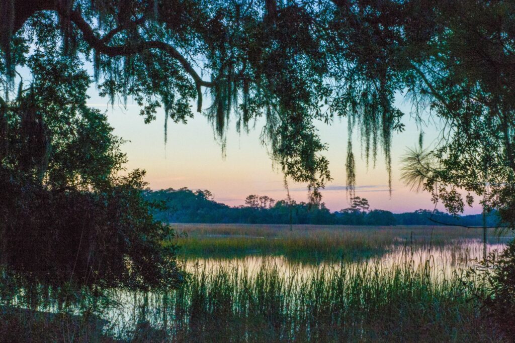 21 BEAUTIFUL South Carolina Islands to Visit