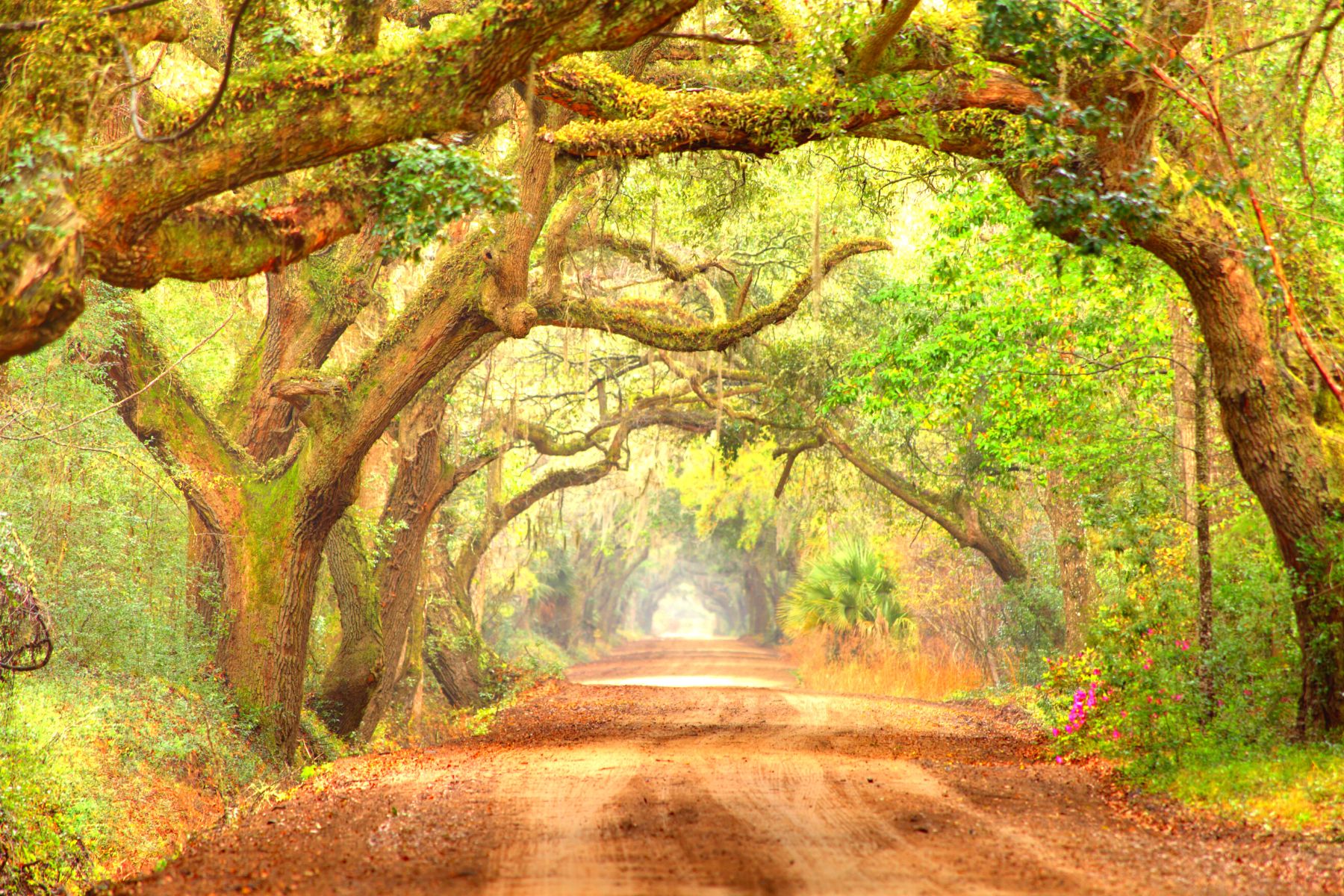 the best things to do in edisto beach