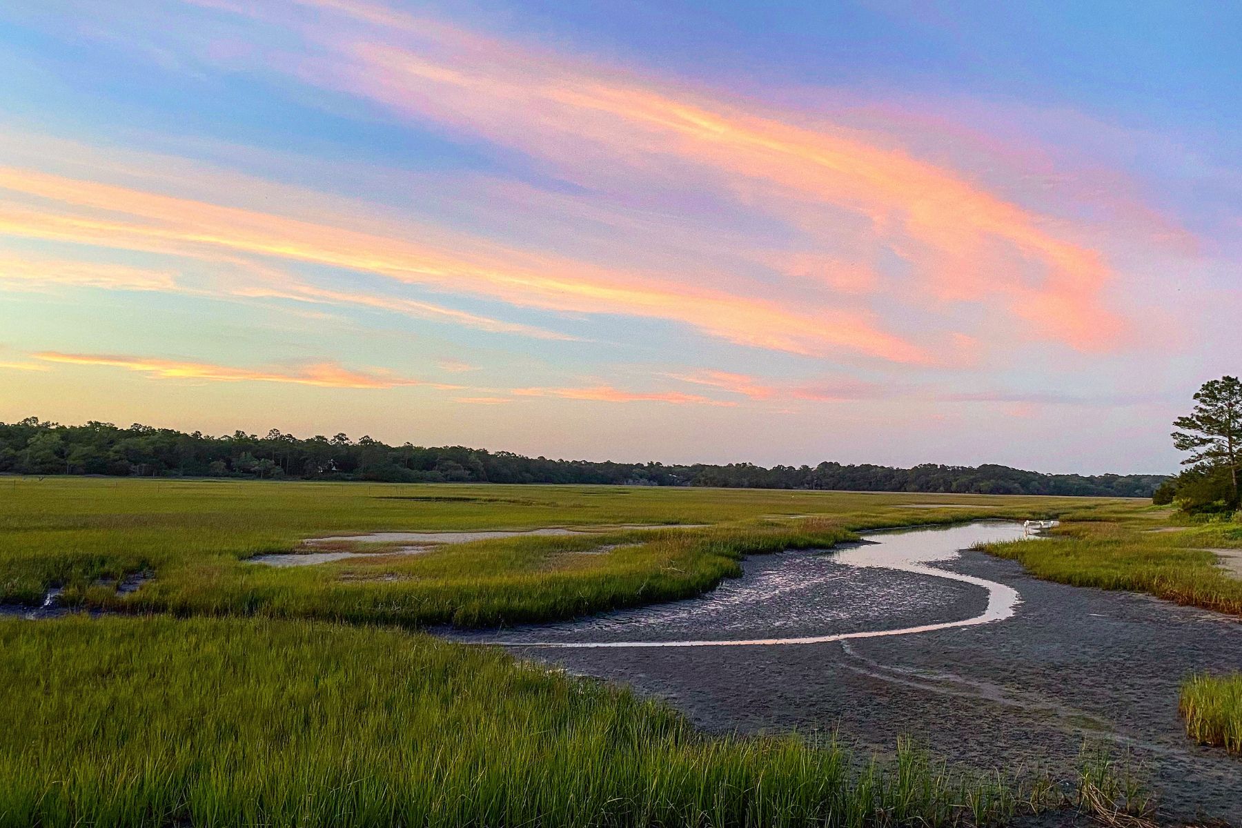 things to do in pawleys island