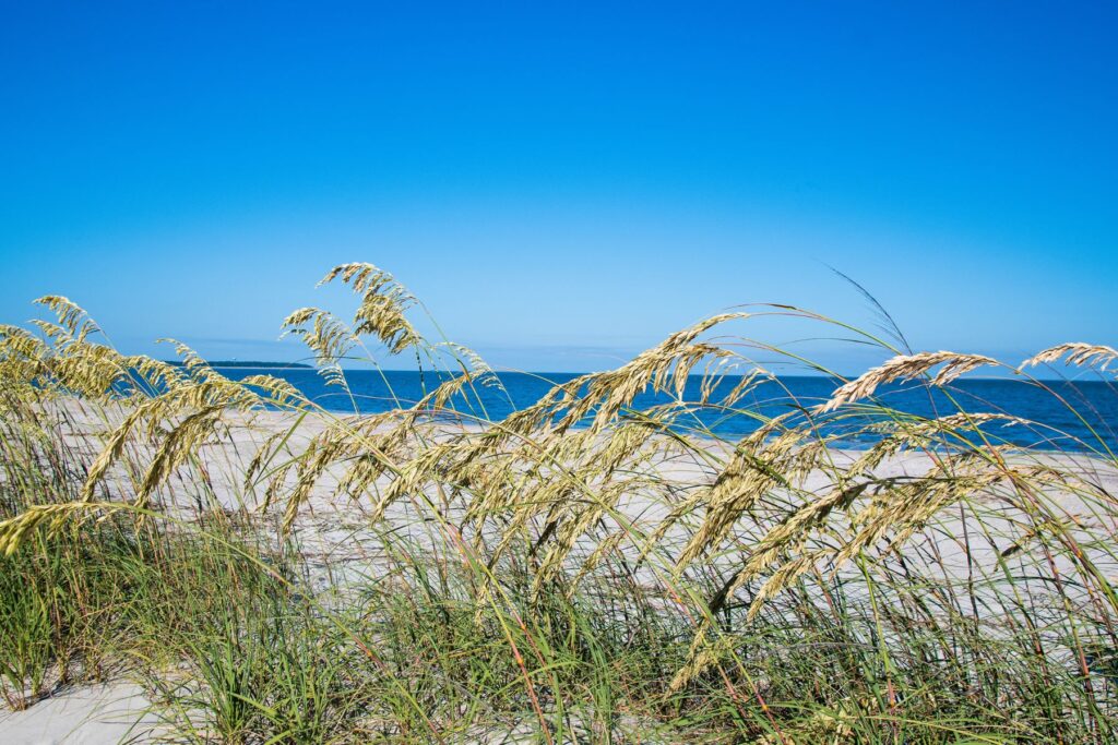 The ULTIMATE Daufuskie Island Travel Guide - Lost In The Carolinas