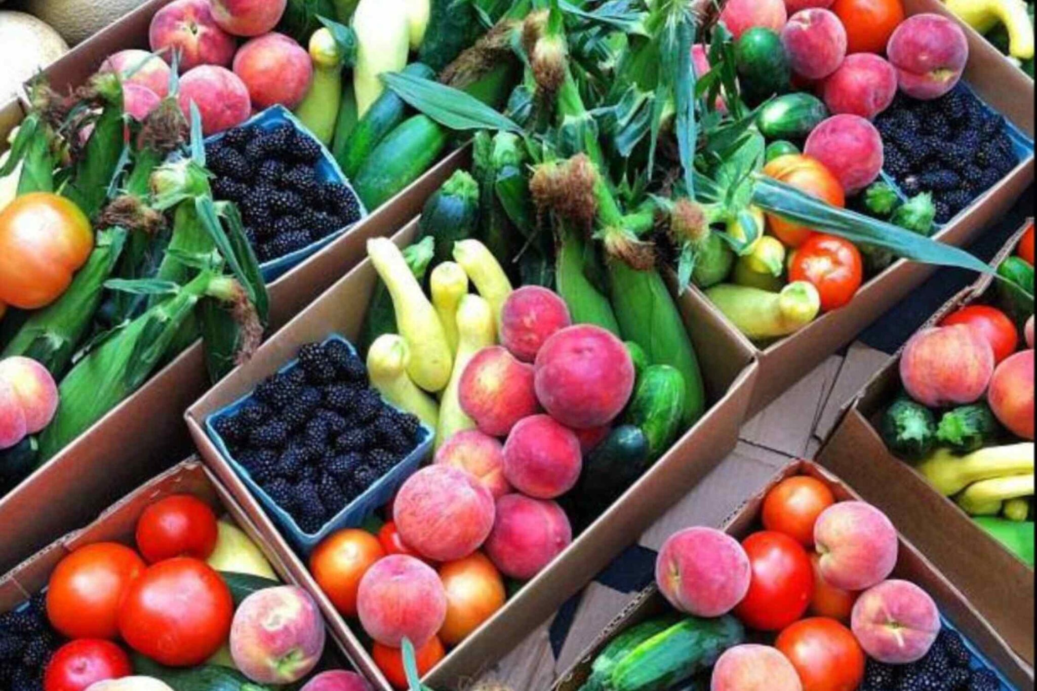 19 BEST Things To Do In Fort Mill, SC Lost In The Carolinas