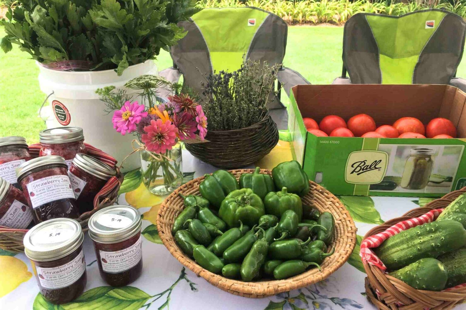 20 BEST Things to Do in Clemson, SC Lost In The Carolinas