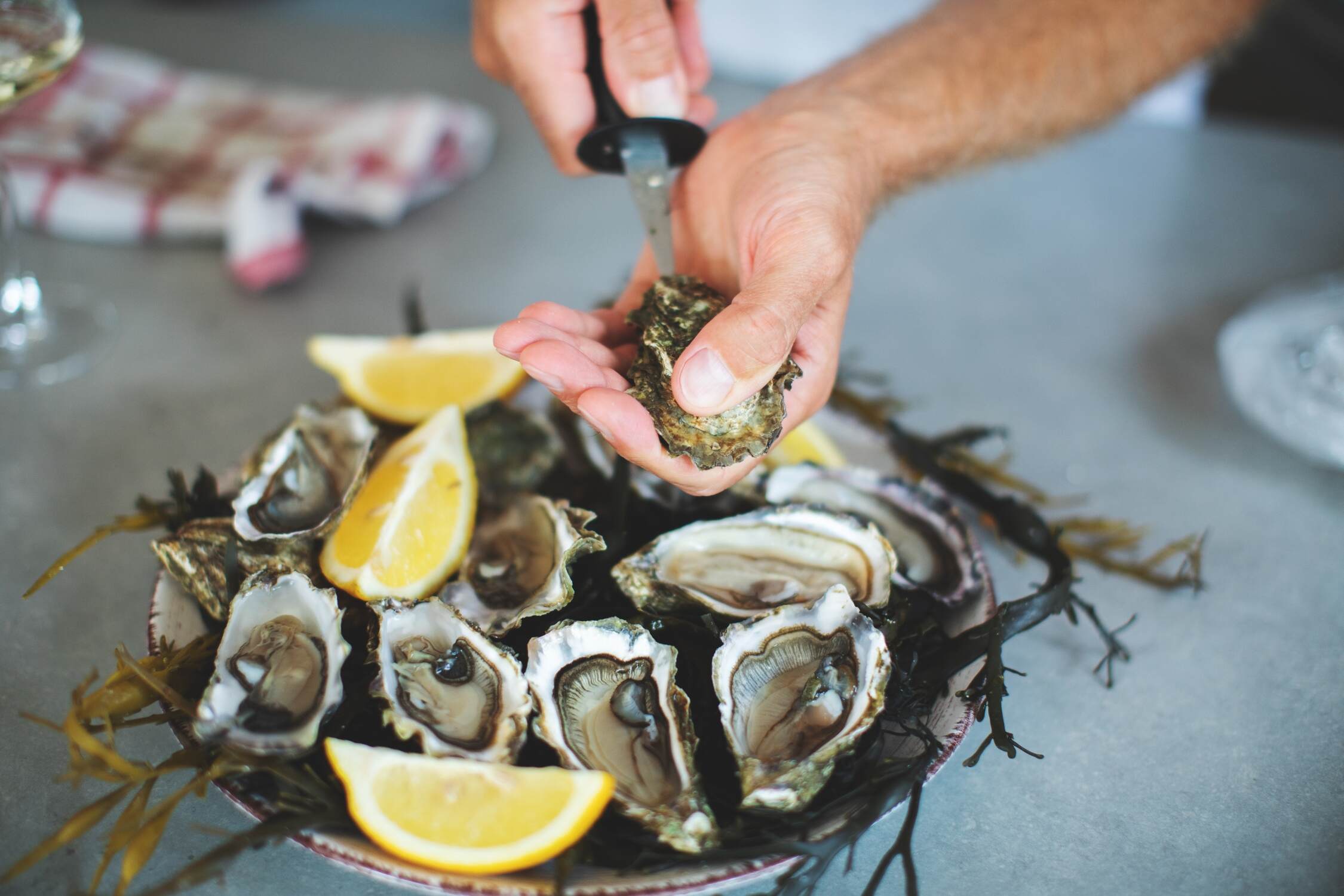  North Carolina Oyster Festival - best things to in ocean isle beach