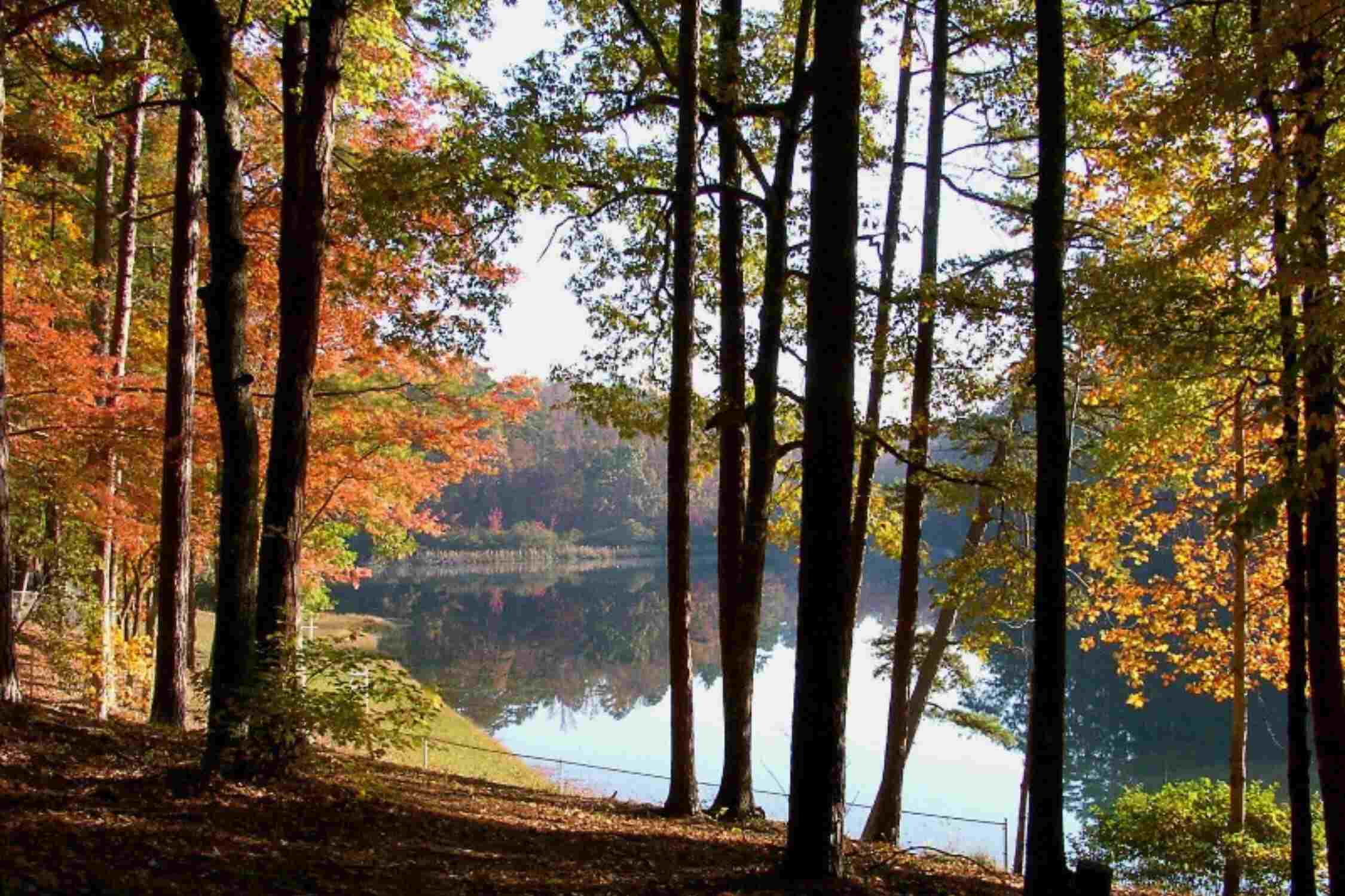 Kings Mountain State Park - best hikes near Charlotte