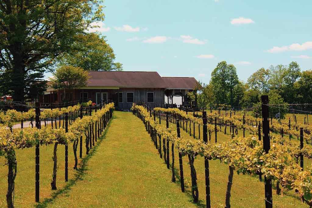 Carolina Heritage Vineyard and Winery