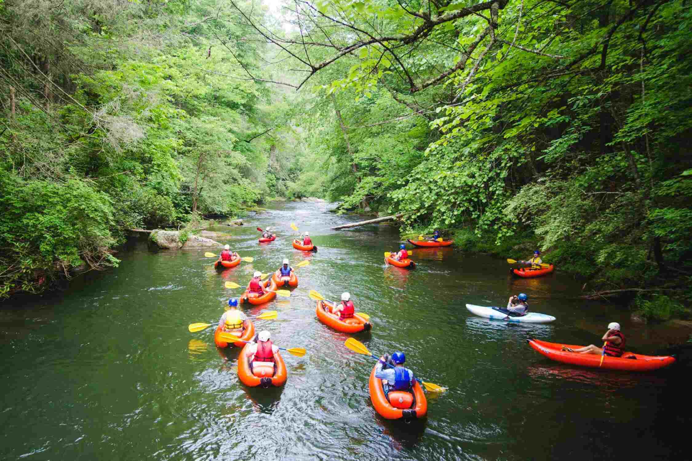 Green River Adventures - best things to do in Saluda