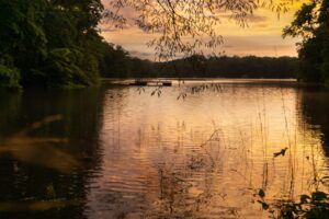 20 AMAZING Lakes Near Charlotte, NC - Lost In The Carolinas