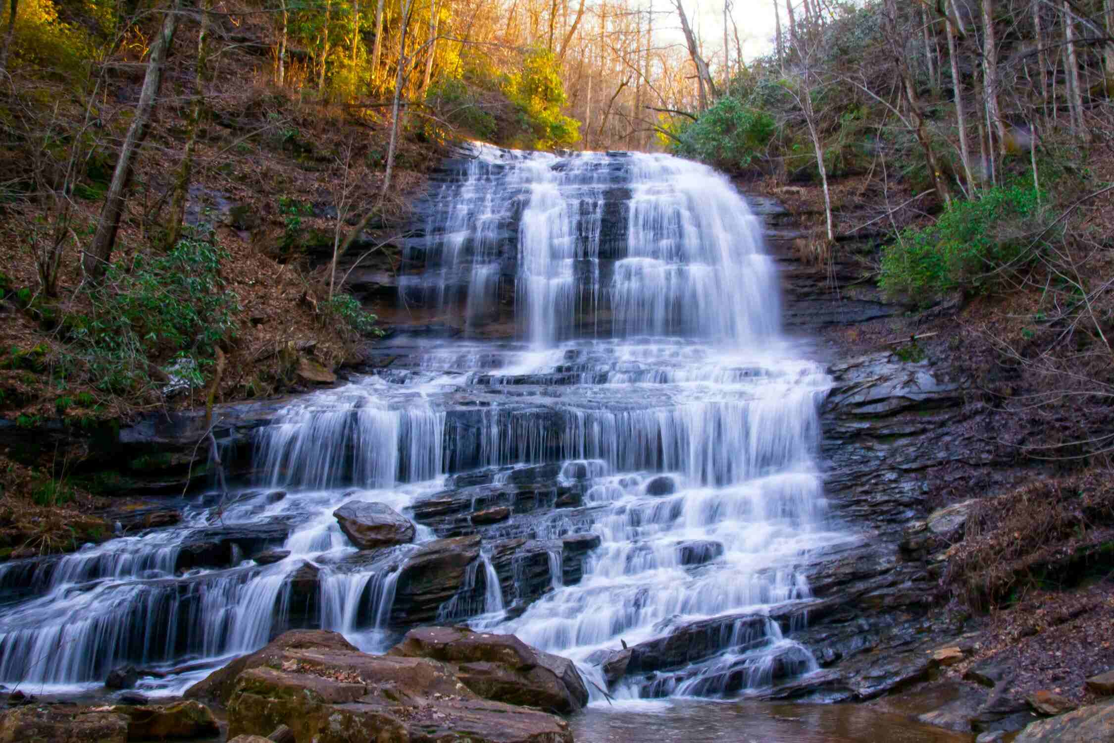 Pearson’s Falls & Glen - best things to do in Saluda