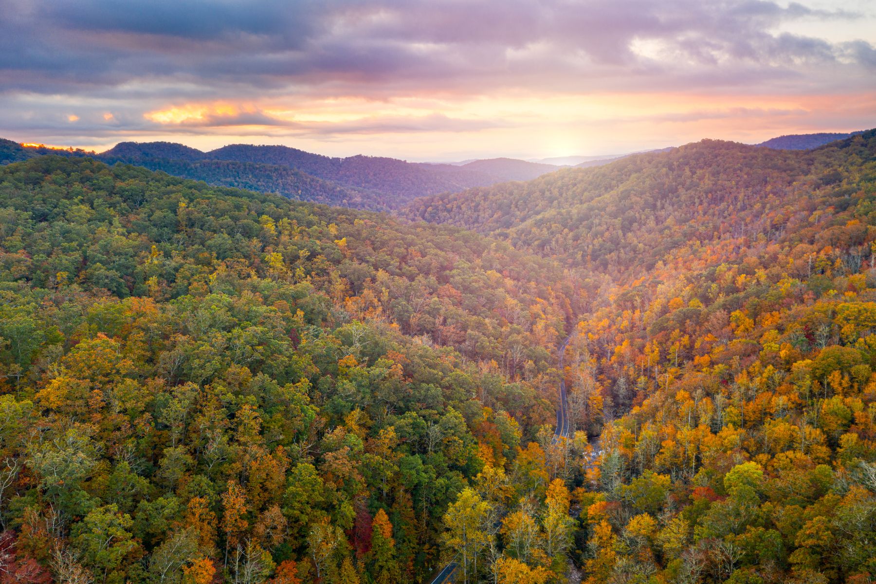 When is the Best Time to Visit Pisgah National Forest?